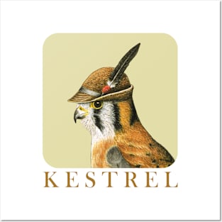 American kestrel Posters and Art